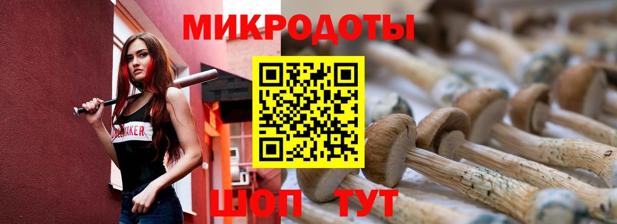 купить  сайты  Галлюциногенные грибы Psilocybe  Вход с VPN  Ессентуки  Псилоцибиновые грибы GOLDEN TEACHER 